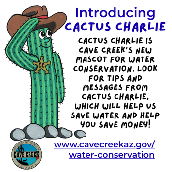 Introducing Cactus Charlie - a character cactus saluting